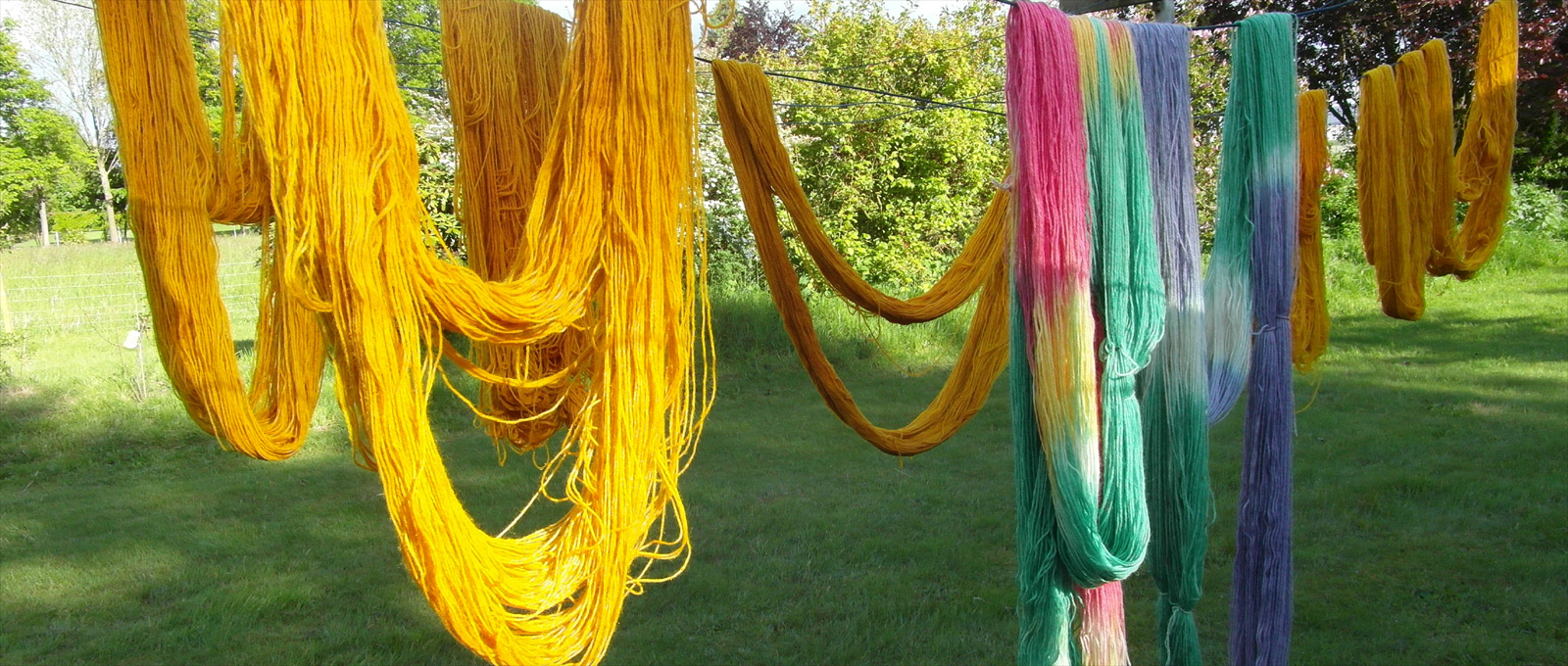 Bunte Wollstränge im Grünen